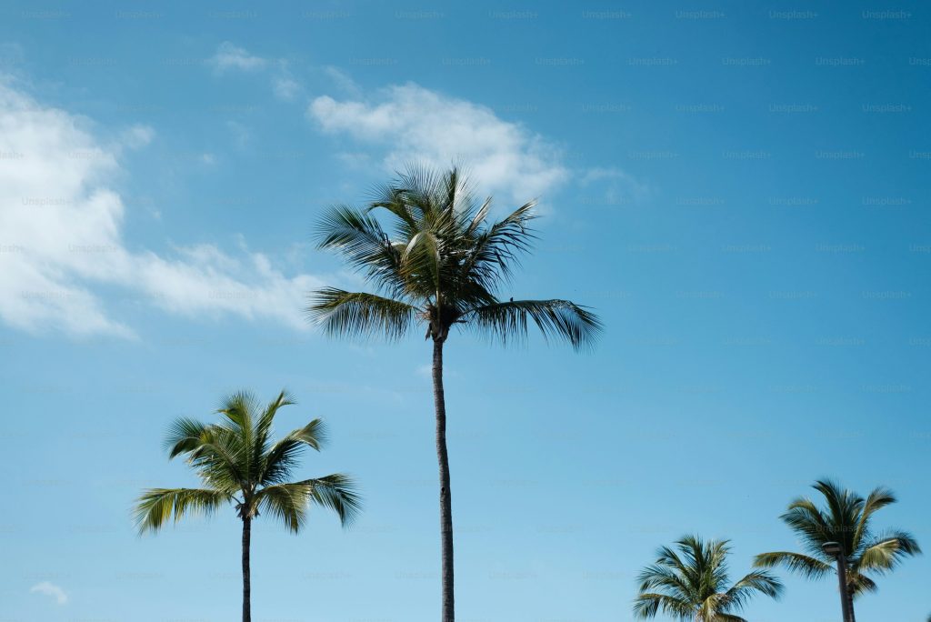 My Favorite Bible Verse: Romans&nbsp;8:18